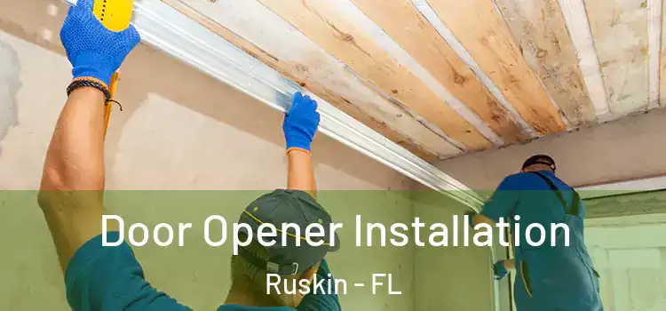  Door Opener Installation Ruskin - FL