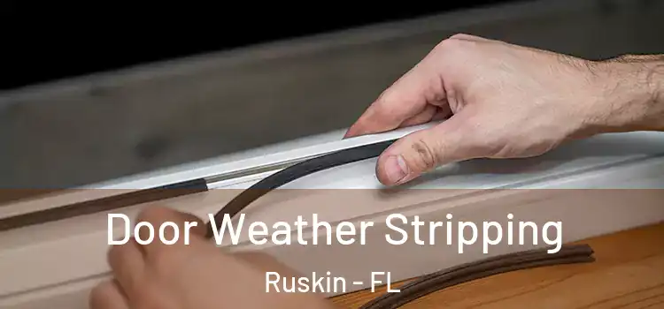 Door Weather Stripping Ruskin - FL