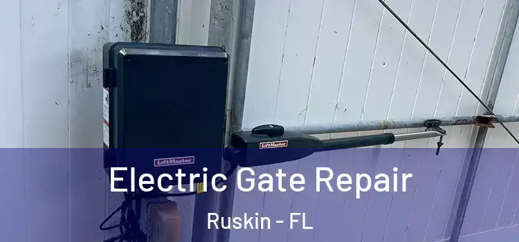 Electric Gate Repair Ruskin - FL