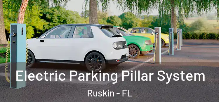 Electric Parking Pillar System Ruskin - FL
