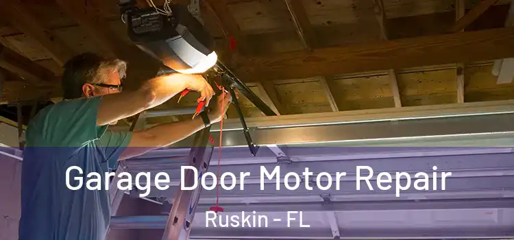  Garage Door Motor Repair Ruskin - FL