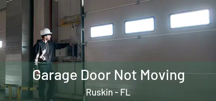  Garage Door Not Moving Ruskin - FL