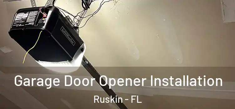 Garage Door Opener Installation Ruskin - FL