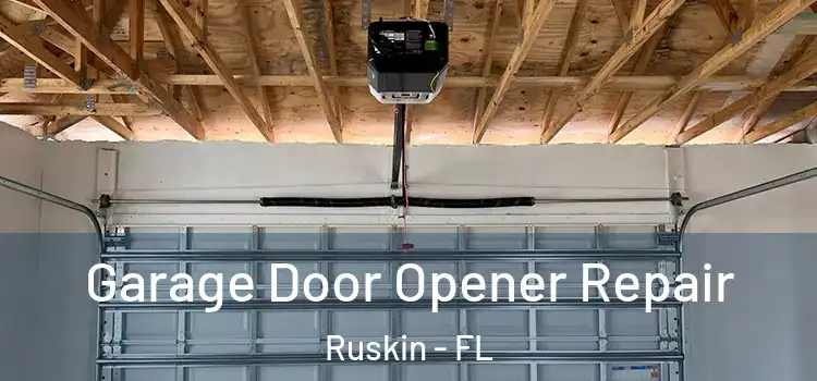  Garage Door Opener Repair Ruskin - FL