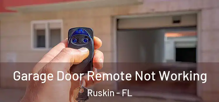  Garage Door Remote Not Working Ruskin - FL