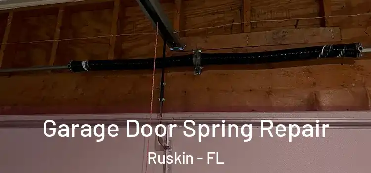  Garage Door Spring Repair Ruskin - FL