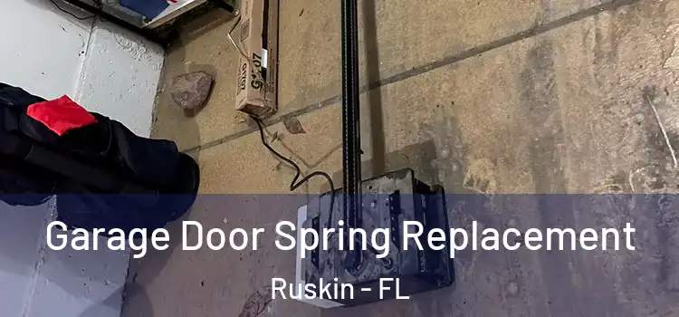  Garage Door Spring Replacement Ruskin - FL