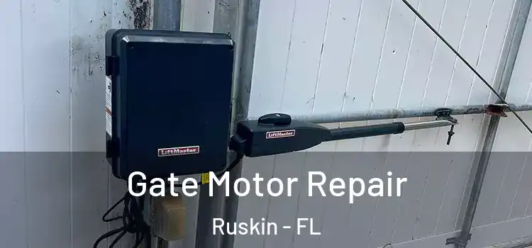 Gate Motor Repair Ruskin - FL