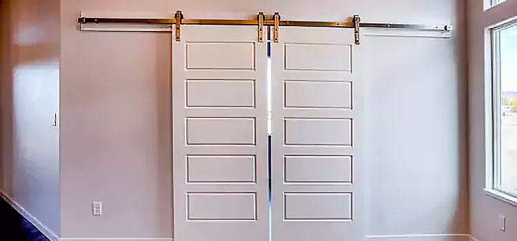 Glass Barn Door with Installation Hardware Kit Ruskin