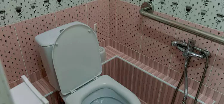 Meeting Diverse Needs With Accessible Restroom Solutions in Ruskin, FL