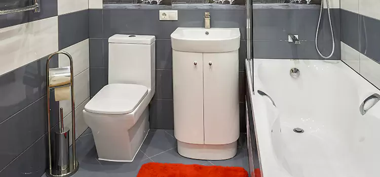 Hansgrohe Shaving Mirror Ruskin