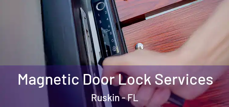  Magnetic Door Lock Services Ruskin - FL