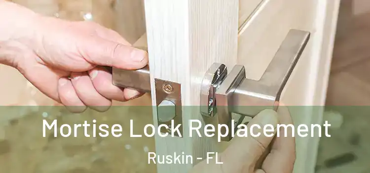  Mortise Lock Replacement Ruskin - FL