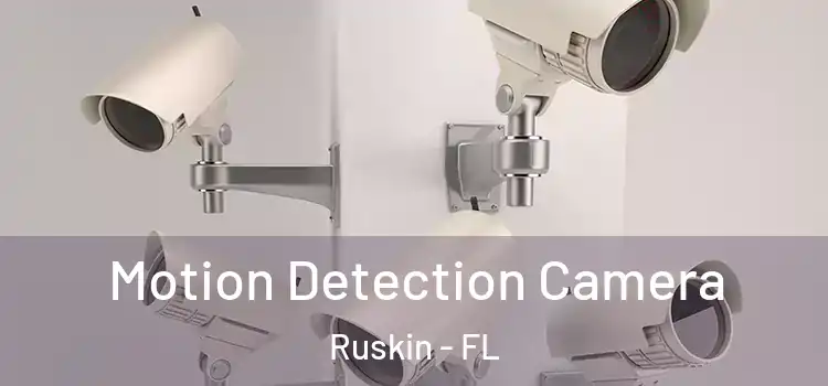  Motion Detection Camera Ruskin - FL